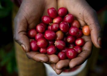 Image: Paul/stock.adobe.com