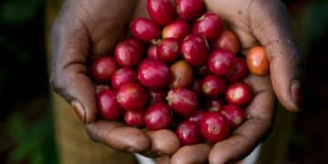 Image: Paul/stock.adobe.com