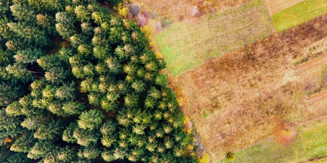 The implementation of the EUDR has been delayed again.