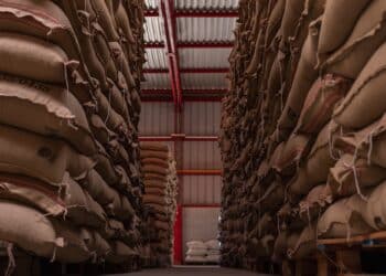 Image: patoouupato/stock.adobe.com