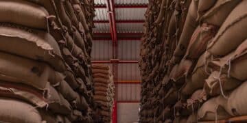 Image:  patoouupato/stock.adobe.com