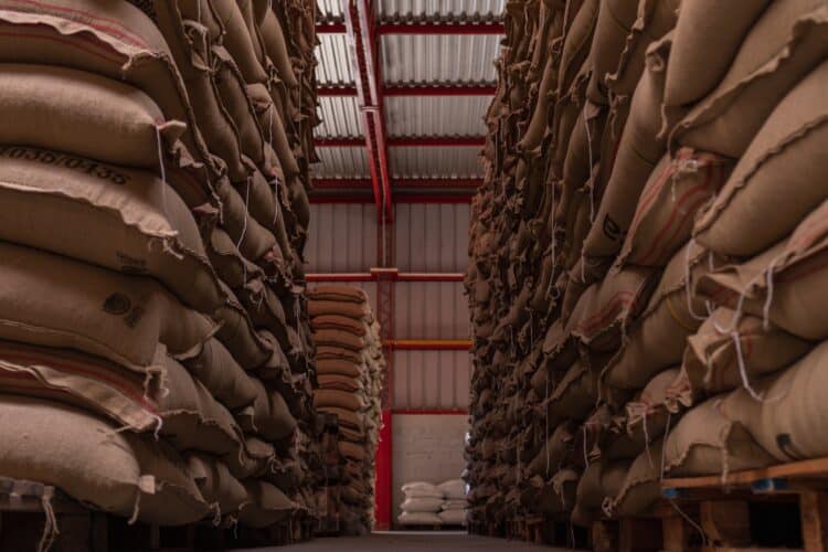 Image: patoouupato/stock.adobe.com