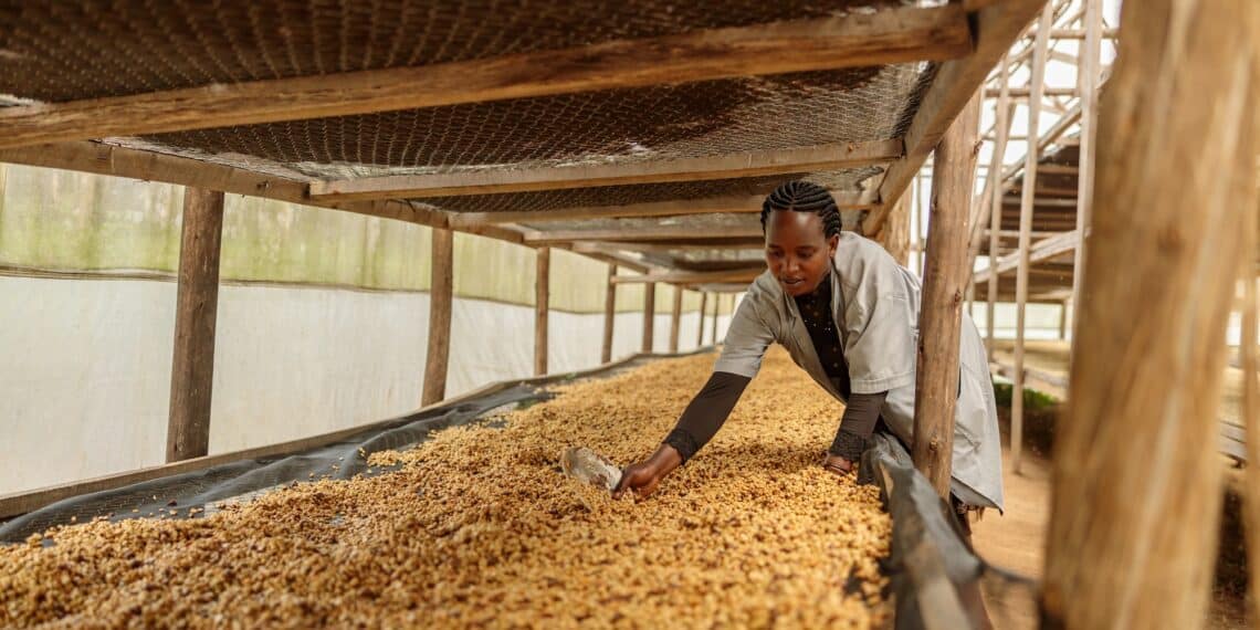 Image: Yaroslav Astakhov/stock.adobe.com