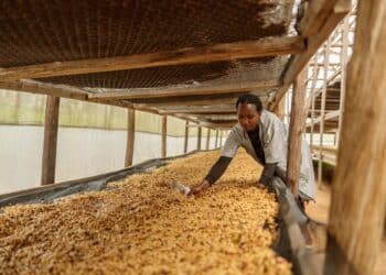 Image: Yaroslav Astakhov/stock.adobe.com