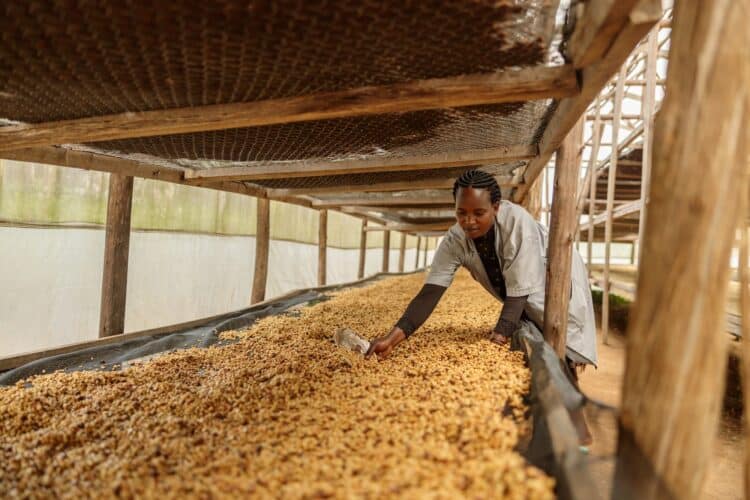 Image: Yaroslav Astakhov/stock.adobe.com