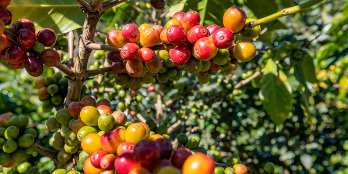 Image: Hien Phung/stock.adobe.com