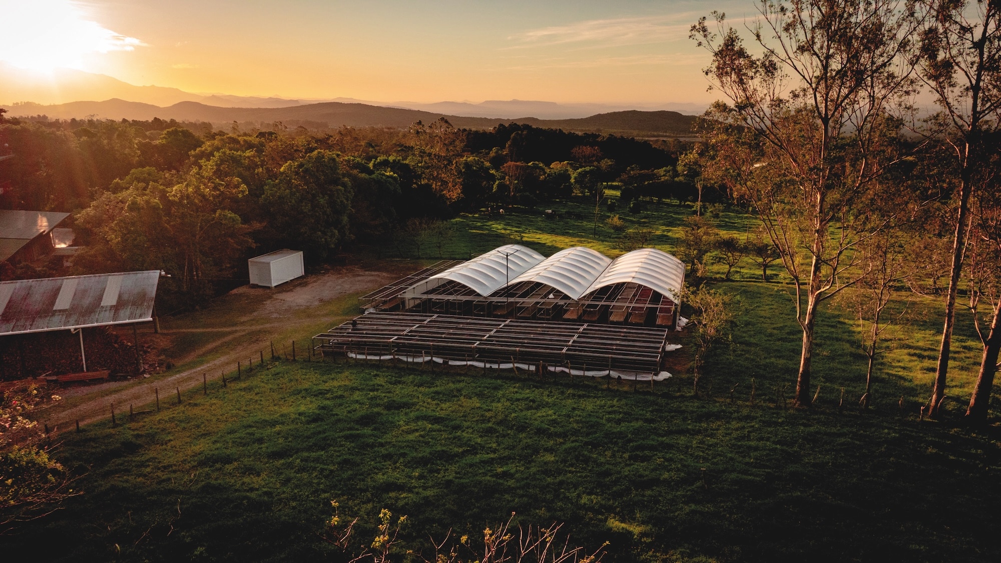 In 2004, Hacienda La Esmeralda put Geisha coffee on the map when it won the Best of Panama auction.