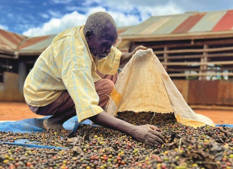   Many coffee producers report chronic back pain from carrying heavy sacks.