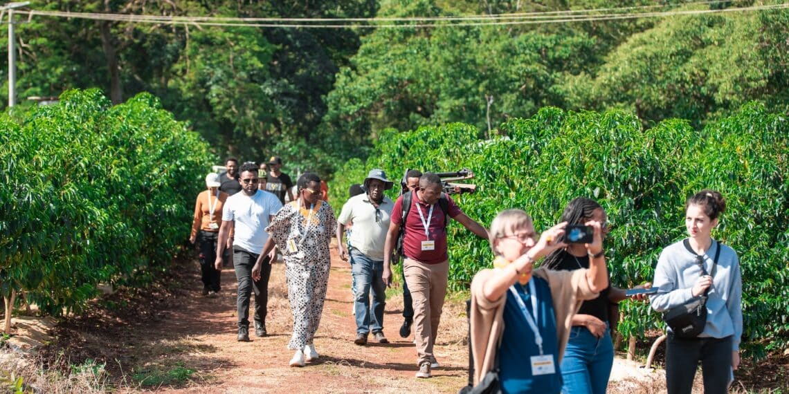 The Coffee Origins Trip 2 to Ethiopia will focus on ecological pressures at origin.