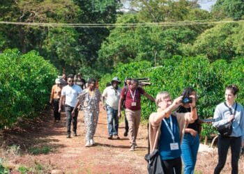 The Coffee Origins Trip 2 to Ethiopia will focus on ecological pressures at origin.