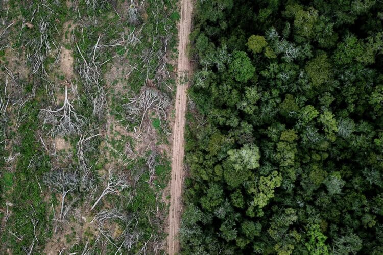 Image: Rhett Ayers Butler/stock.adobe.com