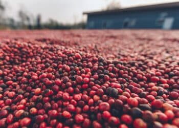 Image: freedom_naruk/stock.adobe.com