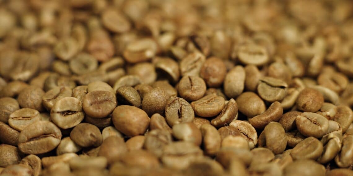 Image: EPhotography/stock.adobe.com