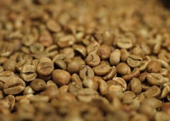 Image: EPhotography/stock.adobe.com