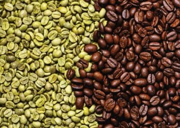 Image: Olena Serzhanova/stock.adobe.com