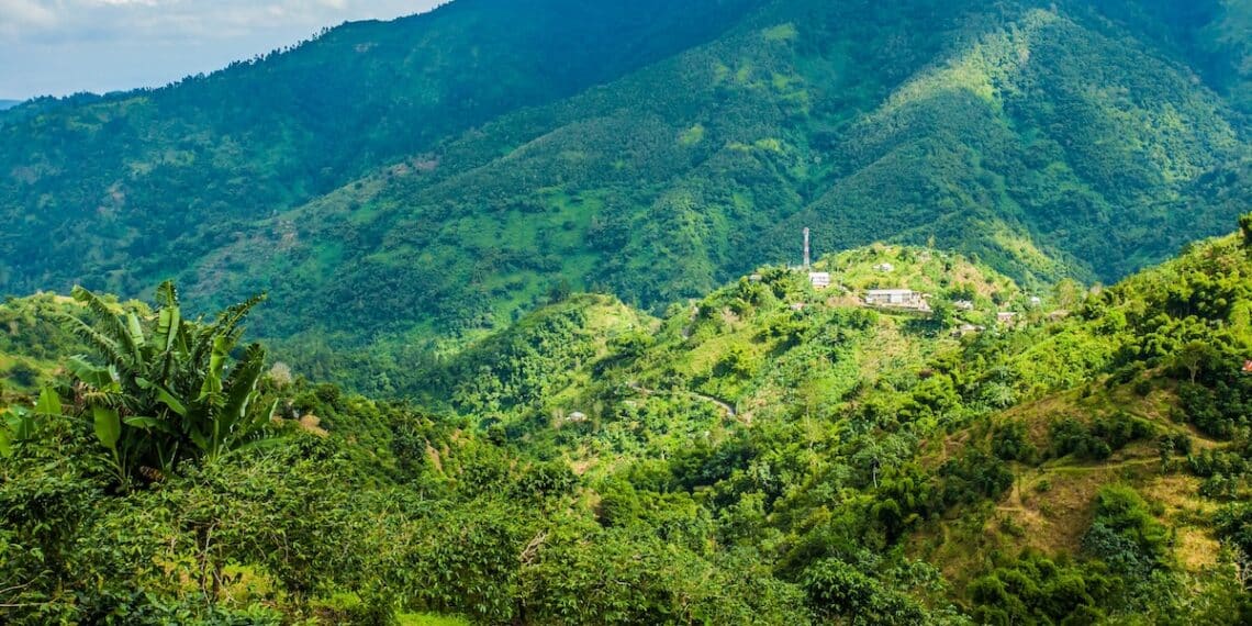 Image: PhotoSpirit/Adobe Stock