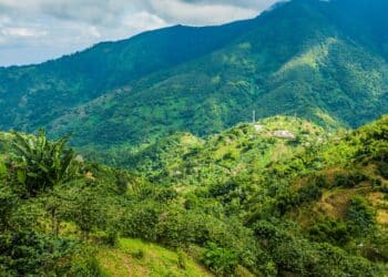 Image: PhotoSpirit/Adobe Stock