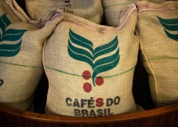 Image: willbrasil/stock.adobe.com