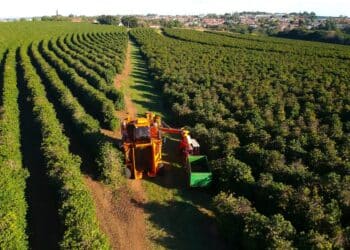 Image: AlfRibeiro/Adobe Stock