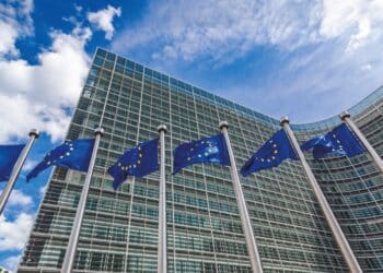 The European Parliament voted in favour of delaying the EUDR a further year. Image: Sergii Figurnyi/stock.adobe.com