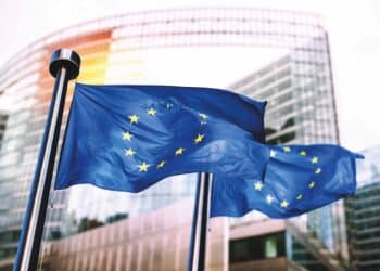 The European Parliament voted to delay the EUDR another year 402 votes to 250 in December. Image: Symbiot/stock.adobe.com.