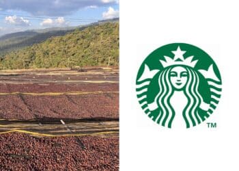 Image: Eric Isselée/Adobe Stock, Starbucks