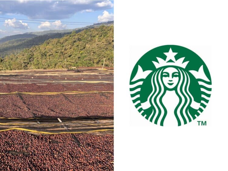 Image: Eric Isselée/Adobe Stock, Starbucks