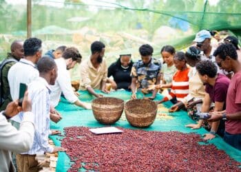 CQI is a non-profit that works globally to improve the quality of coffee and the lives of the people who produce it
