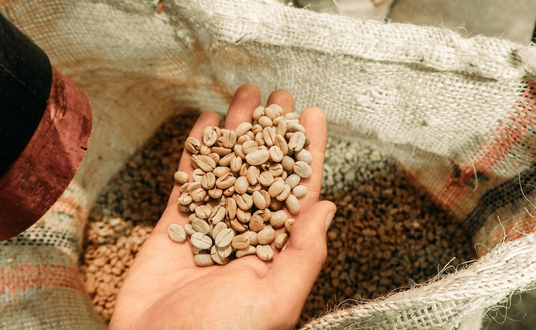 New dataset maps global coffee trade flows